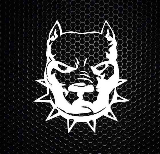 Виниловая наклейка на авто и любую поверхность в Любых размерах  - PIT BULL Черновцы