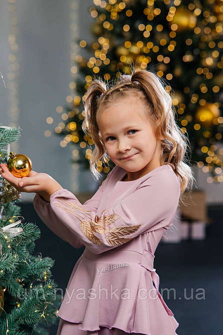 Дитяче плаття з вишивкою на рукавах Поділля-колоски Кривий Ріг - фото 15