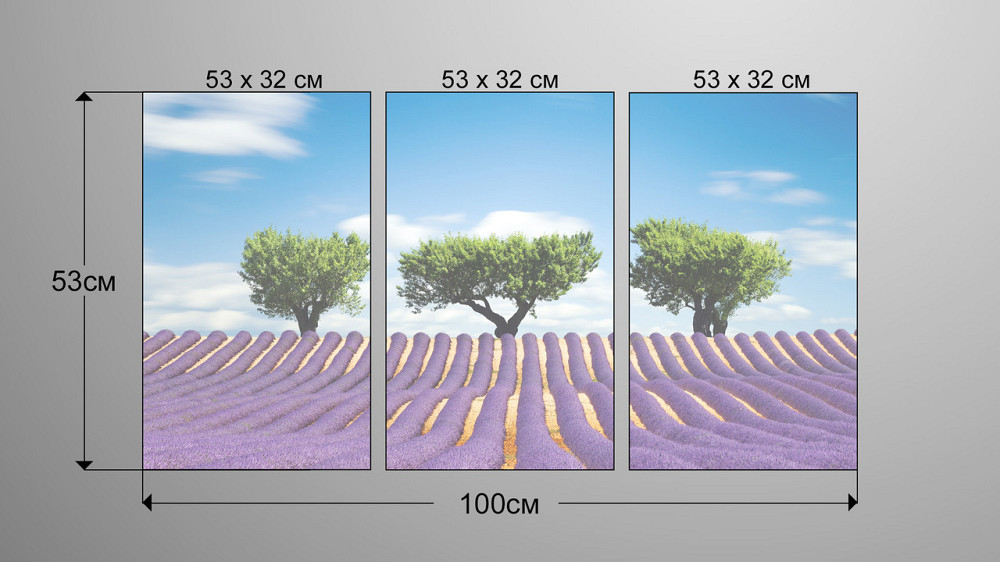 Модульна картина Природа Лаванда Art-46_3А Київ - фото 3