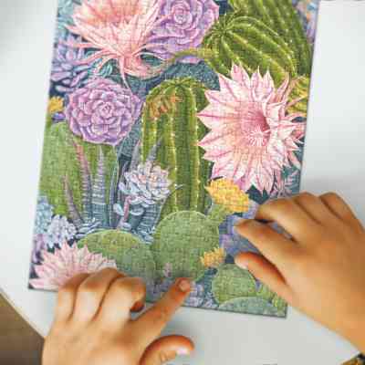 Пазл DoDo Easy-L Ботаніка. Кактуси та сукуленти (300613) Вінниця