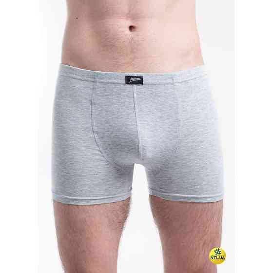 Труси чоловічі Наталюкс 41-1712 S, M, L, XL, XXL, 3XL, Сірий Київ