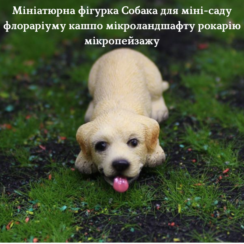 Декоративная  фигурка Собака для мини-сада кашпо флорариума микроландшафта вазона рокария микропейзажа Одесса - изображение 2