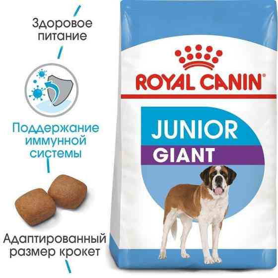Royal Canin Giant Junior (Роял Канін Джаїнт Джуніор) сухий корм для цуценят гігантських порід від 8 місяців Запоріжжя