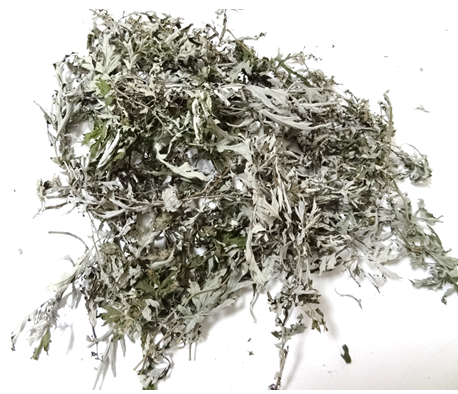 Полин гіркий (Полынь горькая) 100г master sem Киев - изображение 2