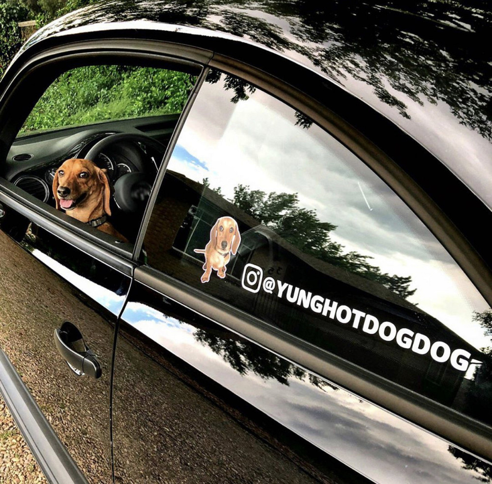 Вінілова наклейка на авто — Твій нікденем instagram ( будь-який розмір) Чернівці - фото 1