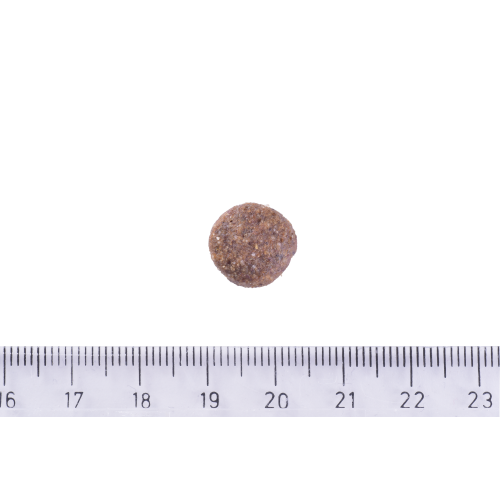 Корм сухой Brit Care Dog Grain-free Adult для взрослых собак малых и средних беззерновых пород с лососем 3 кг Киев