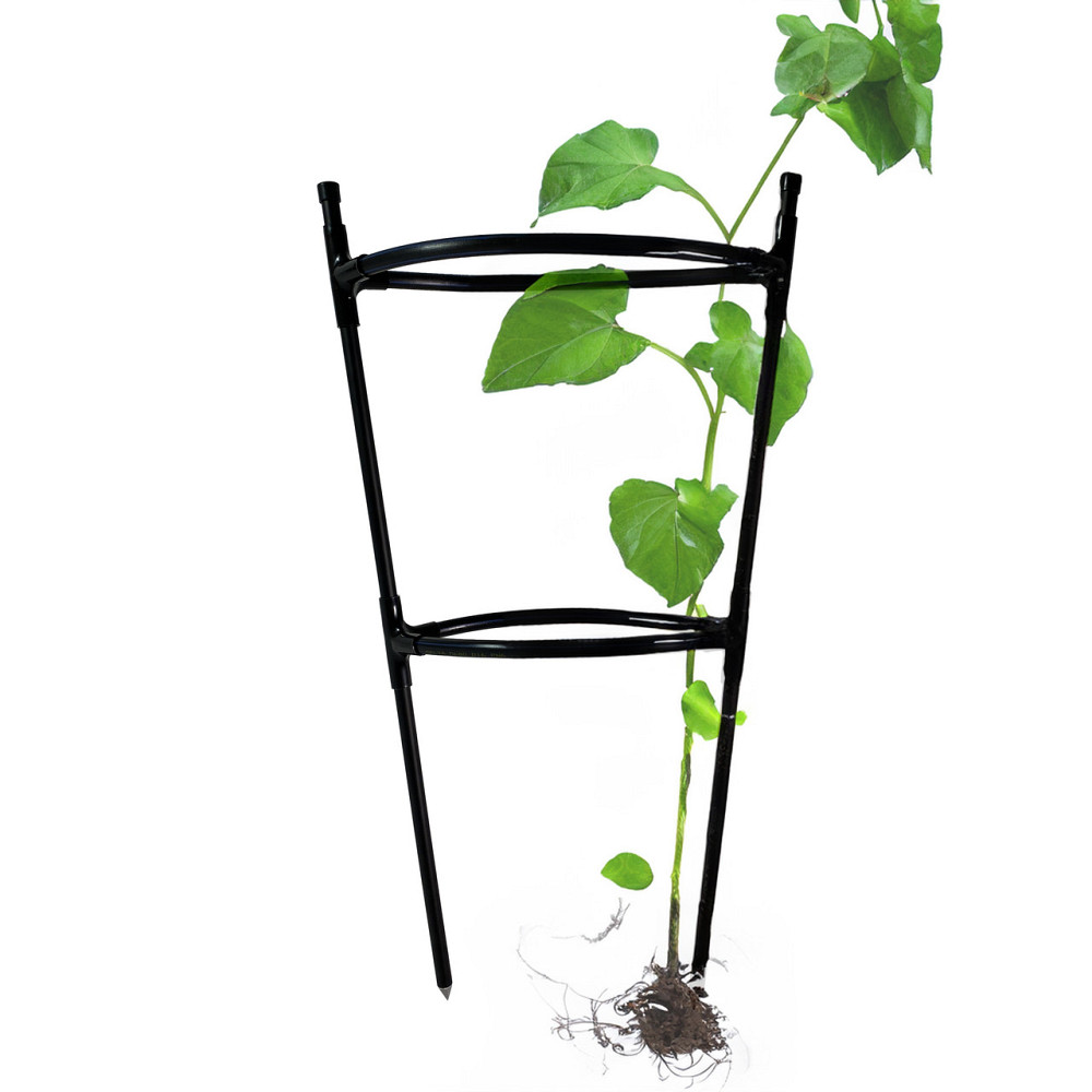 Опора для квітів та рослин Pinta Black. Підпірка для квітів на дачі. Кільцева опора для троянд Бориспіль - фото 1