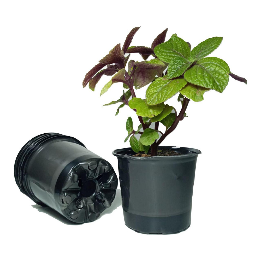 Стакан для рассады 550 мл пластиковый с отверстиями, прочный (960 шт/ящик) Харьков - изображение 2