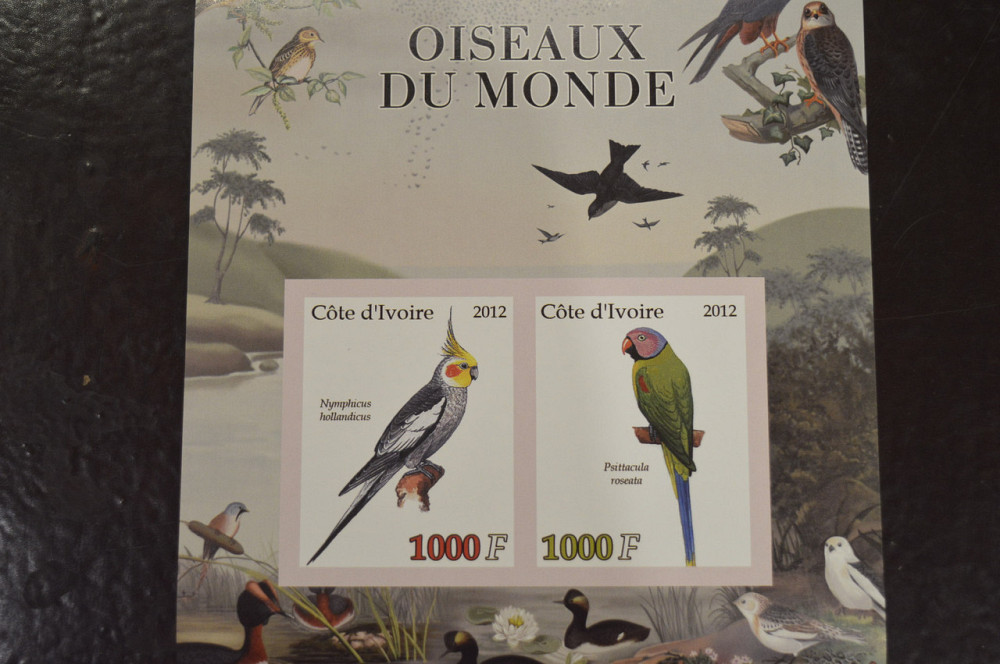 Кот-д’Ивуар. Фауна. Марки. Блок. 2012 год (И) Полтава - изображение 1