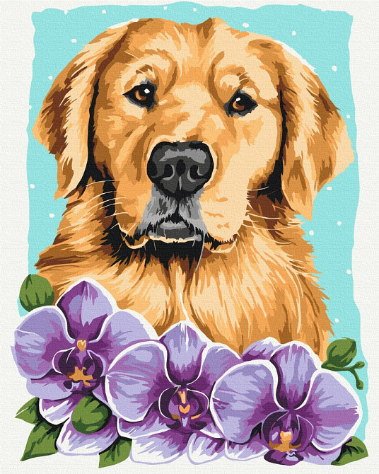 Золотистий ретривер © Anna Kuly Киев - изображение 1