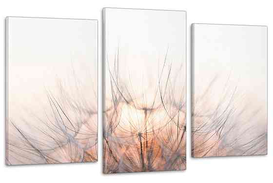 Модульная картина в гостиную / спальню  Квіти  кульбаба Art-690_3 100x150 см Киев