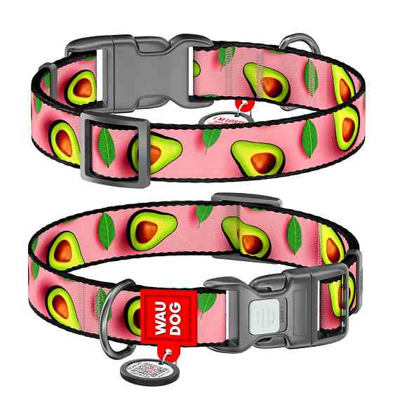 Ошейник для собак нейлоновый WAUDOG Nylon с QR паспортом, рисунок 