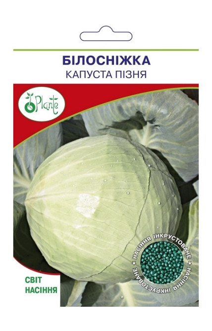 Насіння Капуста пізня Білосніжка Київ - фото 1