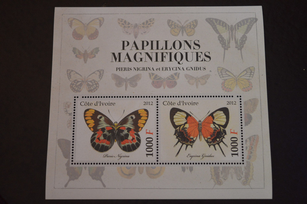 Кот-д’Ивуар. Фауна. Блок. 2015 год (В-6) Полтава - изображение 1