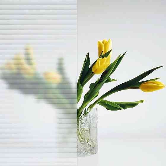 Віконна плівка для захисту та декору Киев