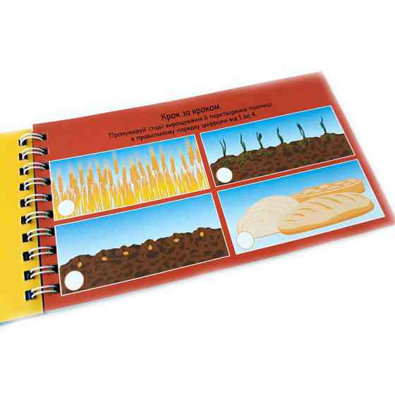 Навчальна книга Цифри 4+ Грайки 123003 Вінниця