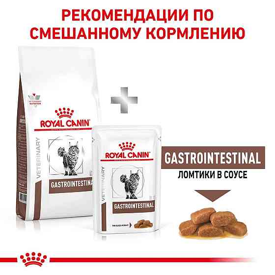 Royal Canin Gastrointestinal (Роял Канін Гастроінтестинал) сухий корм для кішок у разі розладів травлення Запоріжжя