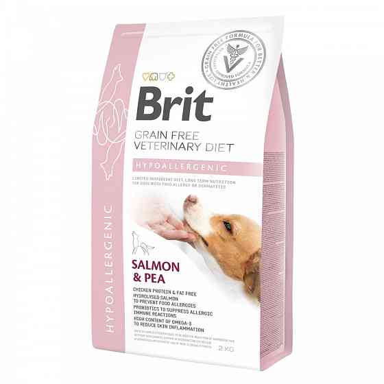 Сухий корм Brit GF VetDiet Dog Hypoallergenic для собак, при харчовій алергії, з лососем, горохом і гречкою, 2 кг Вінниця