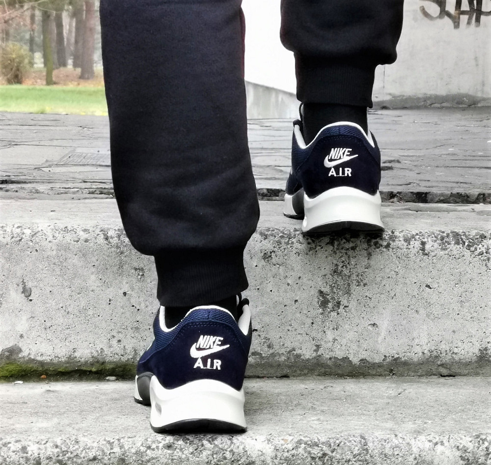 Кросівки Nike Tn Сині з Амортизацією Чоловічі Найк (розміри: 42,43,44) Дніпро - фото 8