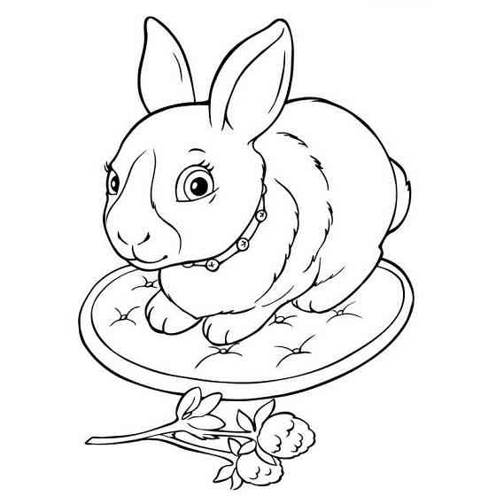 Большая книга раскрасок 