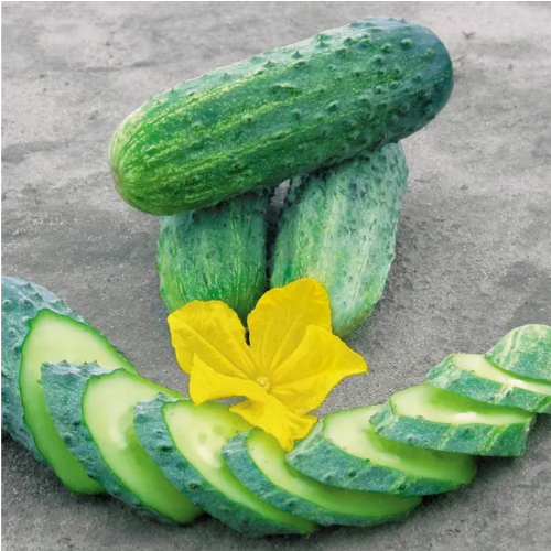 Огірок Кріспіна F1 самозапильний 10шт Професійне насіння Житомир