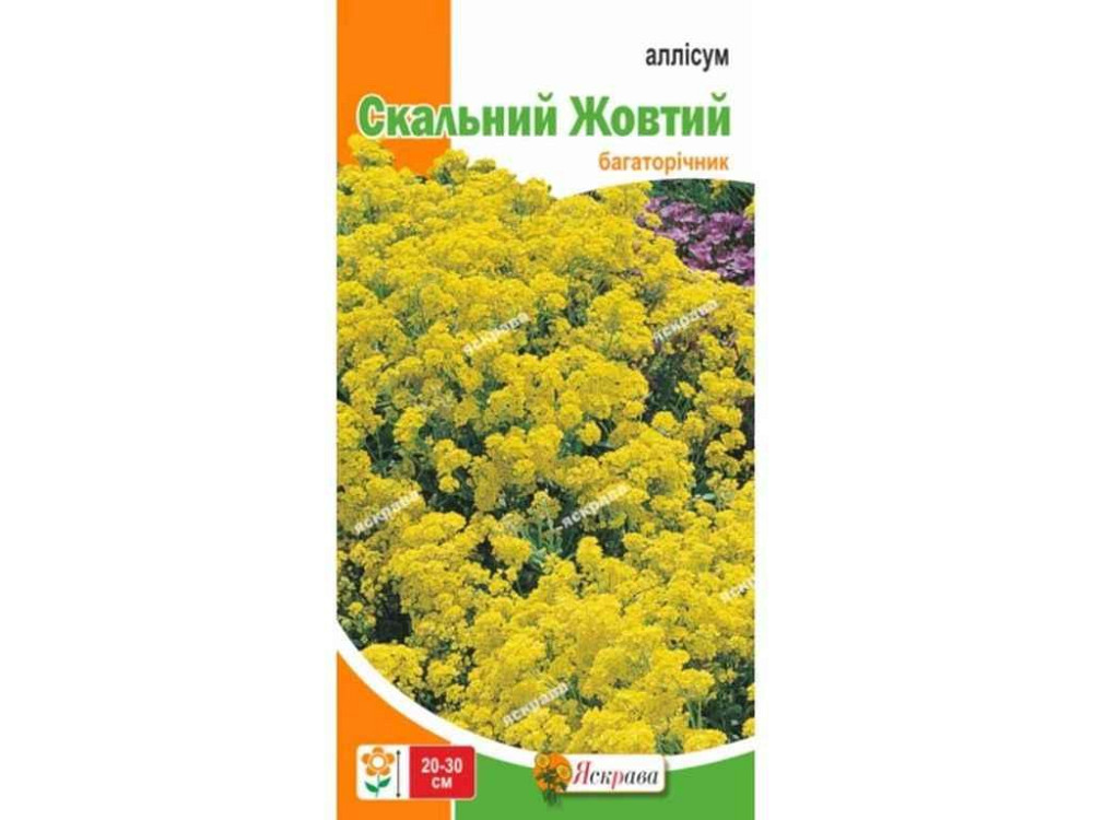 Аліссум Скальний Жовтий (20 пачок) 0,2г ТМ ЯСКРАВА Київ - фото 1