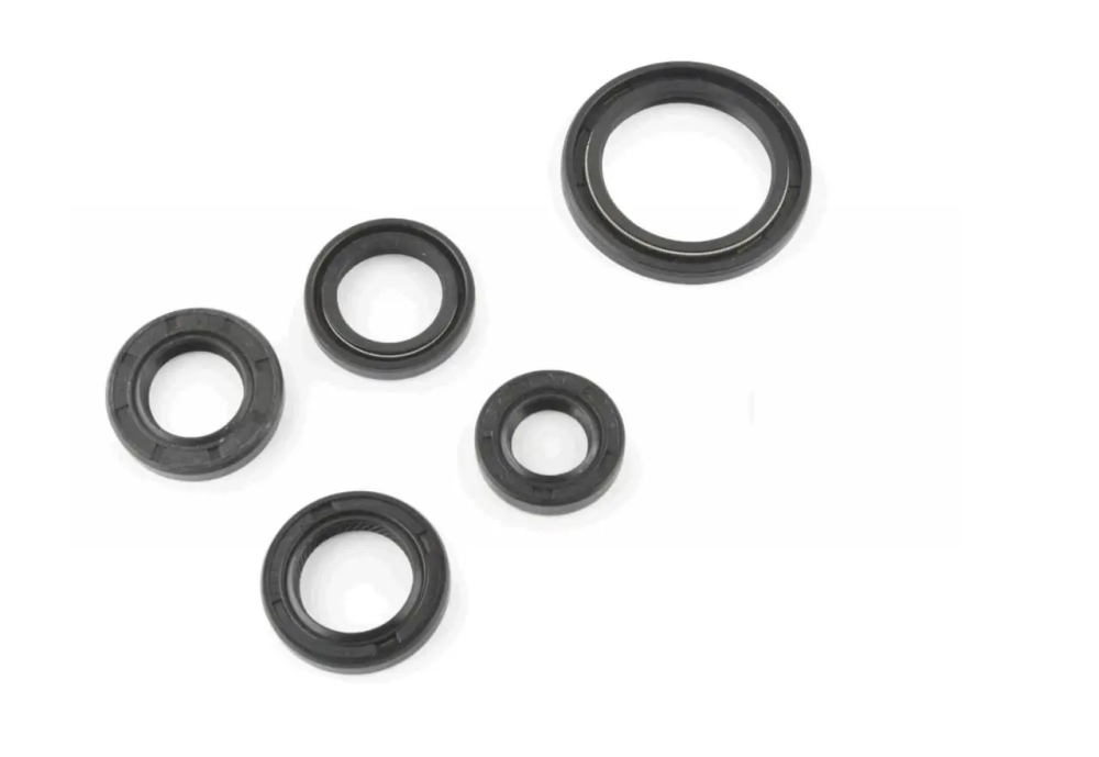 Сальники набор мопед Дельта Мукачево - изображение 1