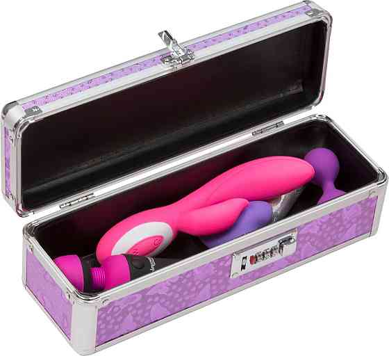 Кейс для хранения секс-игрушек BMS Factory - The Toy Chest Lokable Vibrator Case с кодовым замком Sex Aura Киев