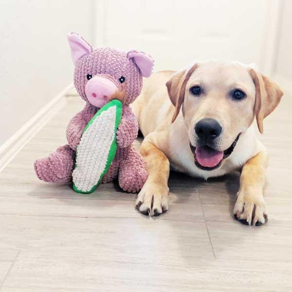 Іграшка для собак Patchwork Pet Maizey the Pig (Печворк Пт Свинка Мейзі) Запоріжжя - фото 5