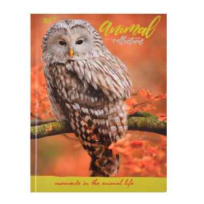 Блокнот Yes 140*185/96 л "Wild force" линия (151483) Винница