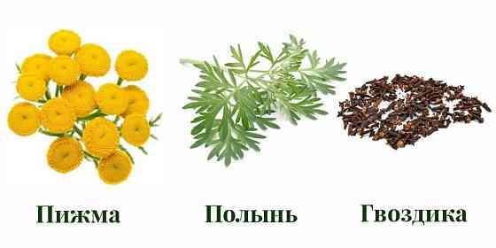 110грам, Тройчатка противопаразитная (Пижмо, Гвоздика, Полынь горькая) молотый MasterSEM Киев