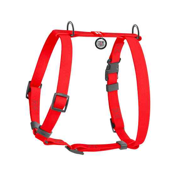 Шлея для собак водостійка анатомічна Н-подібна WAUDOG Waterproof з QR-паспортом, пластикова пряжка-фастекс, XL, Ш 40 мм, А 60-98 Київ