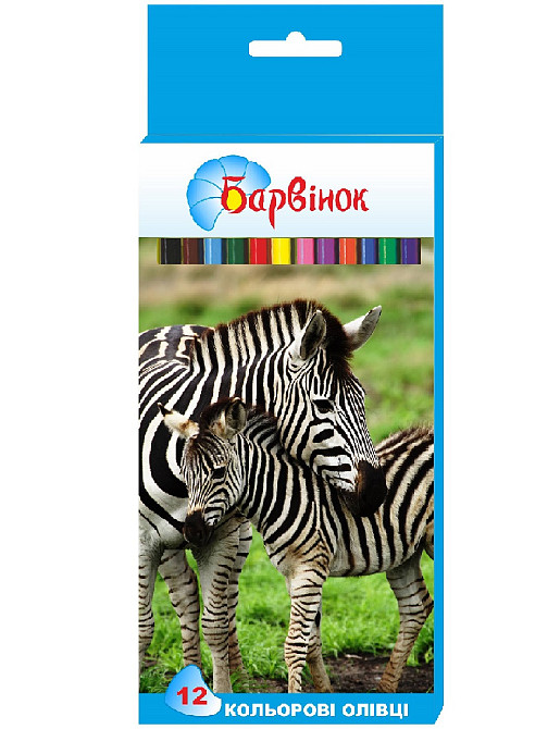 Олівці кольорові 