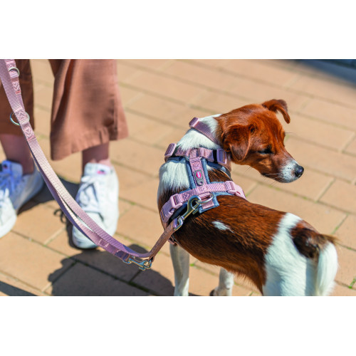 Шлея Trixie Premium для собак трекінгова XS–S 32–38 см 13 мм рожево-сіра Київ - фото 2