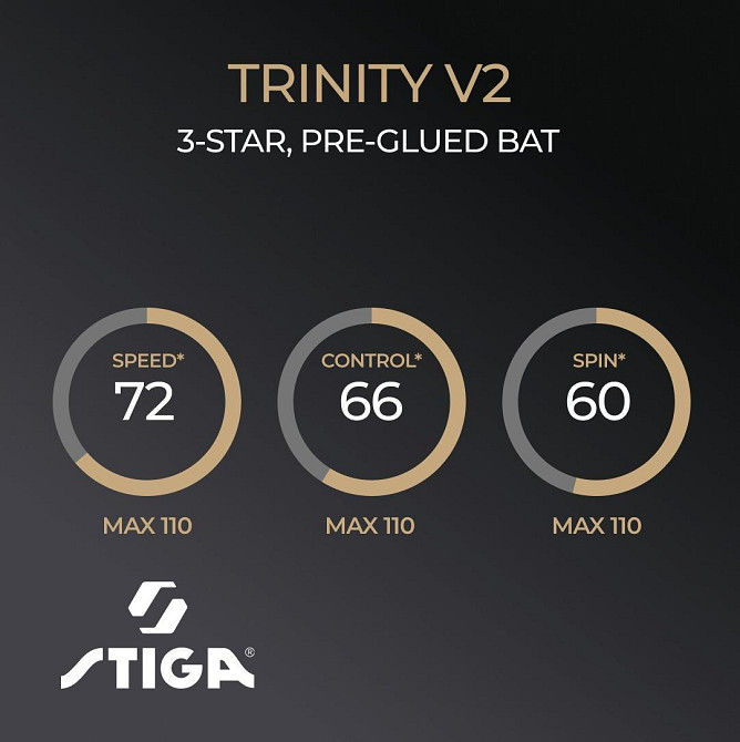 Ракетка для настольного тенниса Stiga Trinity 3 Star ver.2 FL (1213-1208-35) Киев - изображение 7