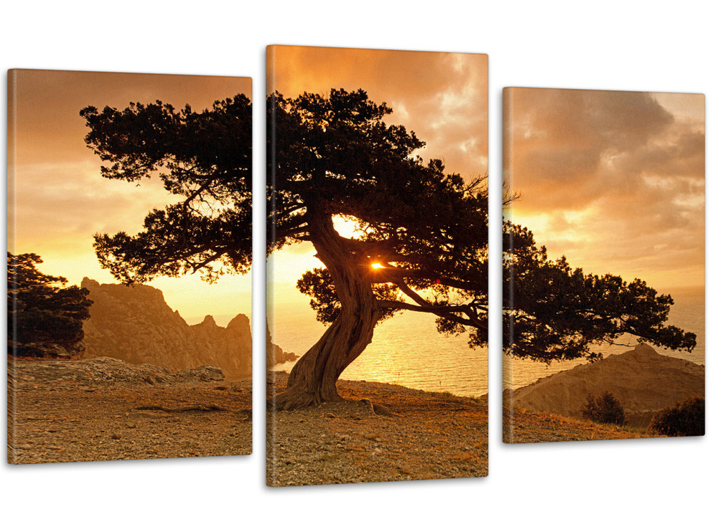 Модульна картина Природа Дерево Art-82_3 Київ - фото 1