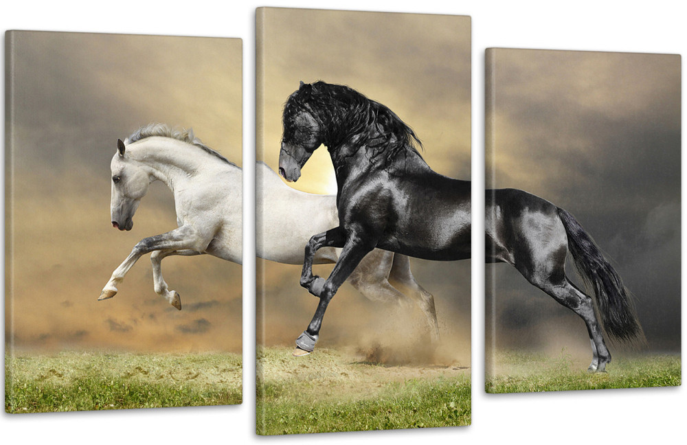 Модульна картина Коні Art-73_3 Київ - фото 1