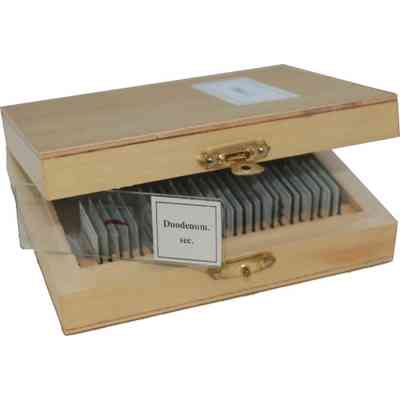 Набор микропрепаратов Sigeta Різне 2 25 шт (65108) Винница