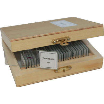 Набор микропрепаратов Sigeta Різне 2 25 шт (65108) Винница - изображение 1