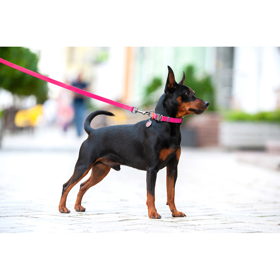 Нашийник для собак водостійкий WAUDOG Waterproof c QR паспортом, металічна пряжка-фастекс, Ш 25 Коломыя - изображение 4