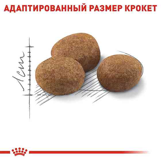 Royal Canin Sterilised 7+ (Рояв Канін Стерелайдз 7+) сухий корм для стерилізованих кішок 7 - 12 років 1.5 кг. Запоріжжя