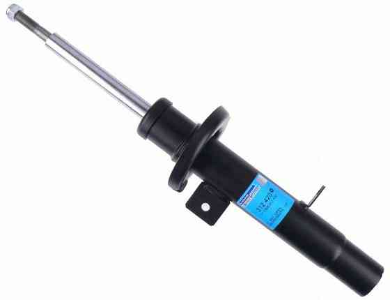 Амортизатор передній лівий Raiso (Швеція)  Citroen C2, Ситроен Ц2   02-09    #RS312420 UADNIAL22 Ковель