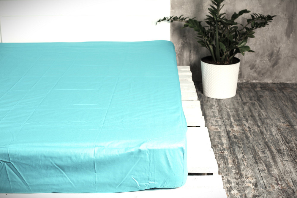 Ecotton Простирадло на резинці Ecotton 160х200 см однотонне блакитне Коломия - фото 1