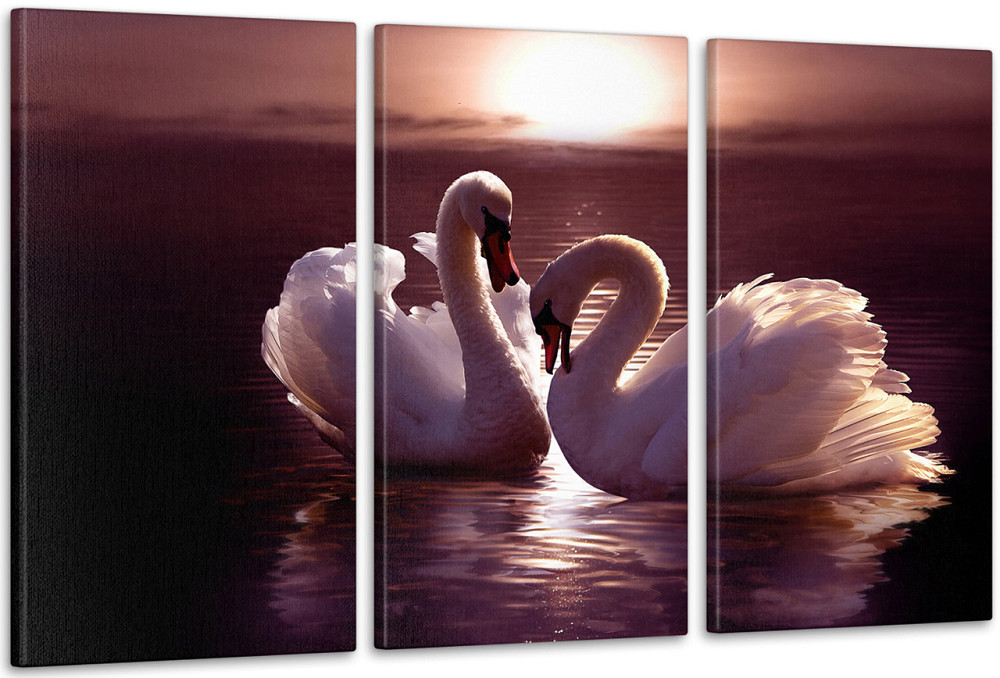 Модульная картина Природа Лебеди  Аrt-124_3А Киев - изображение 1