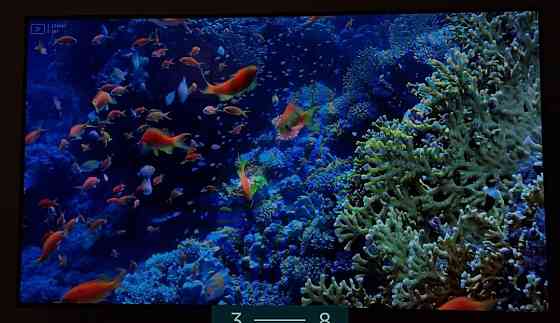 Телевизор: OLED LG 55