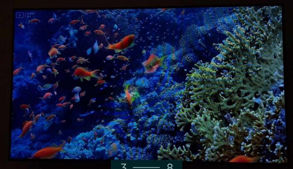 Телевизор: OLED LG 55