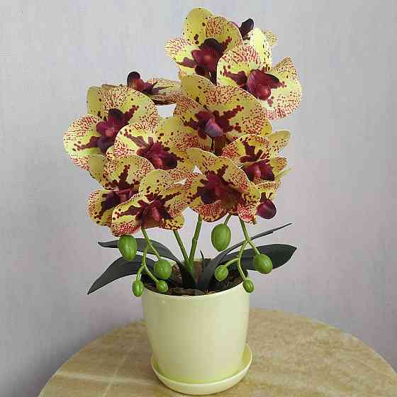 Штучна латексна міні орхідея в жовтому пластиковому кашпо на дві гілки жовто-бордова Дніпро