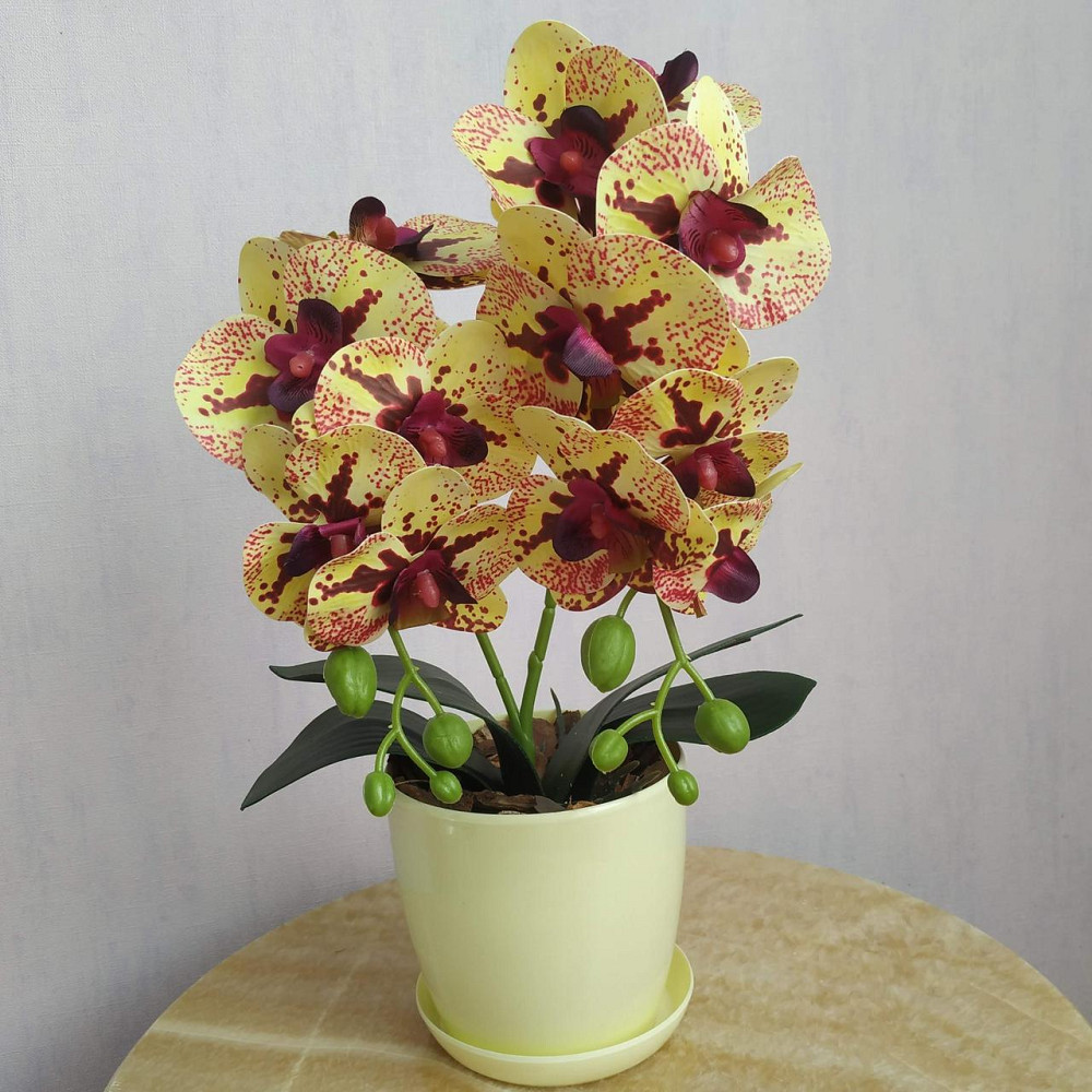 Штучна латексна міні орхідея в жовтому пластиковому кашпо на дві гілки жовто-бордова Дніпро - фото 1