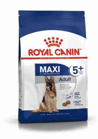 Royal Canin Maxi Adult 5+ (Рояв Канін Максі Едалт 5+) сухий корм для собак великих порід від п'яти років 15 кілограмів. Запоріжжя