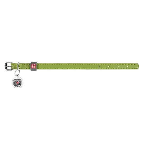 Ошейник для собак кожаный WAUDOG Classic, Ш 12 мм, Длин 19-25 см салатовый Киев